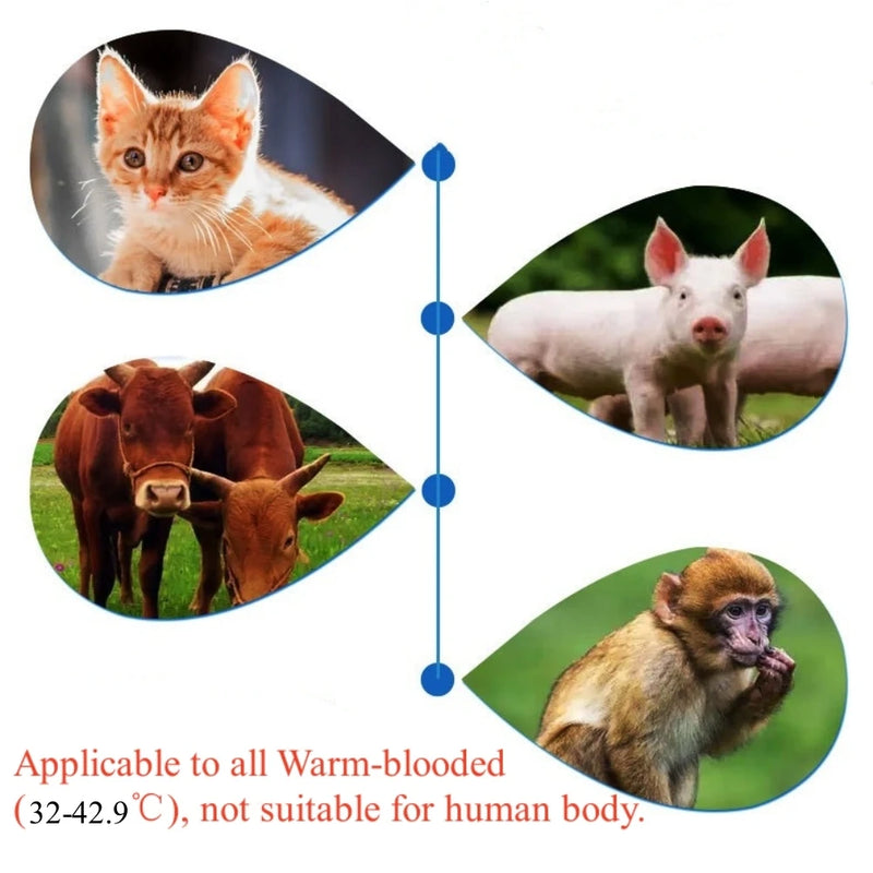 Termômetro Infravermelho de Ouvido para Animais de Estimação